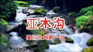 图表：我国5G基站总数达337.7万个